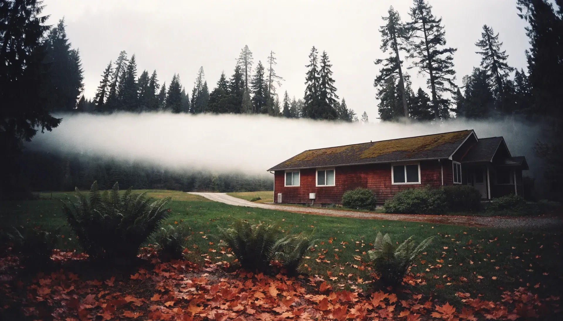 A rural home on a septic system under low fog in the Cascade foothills, Snohomish County, Washington