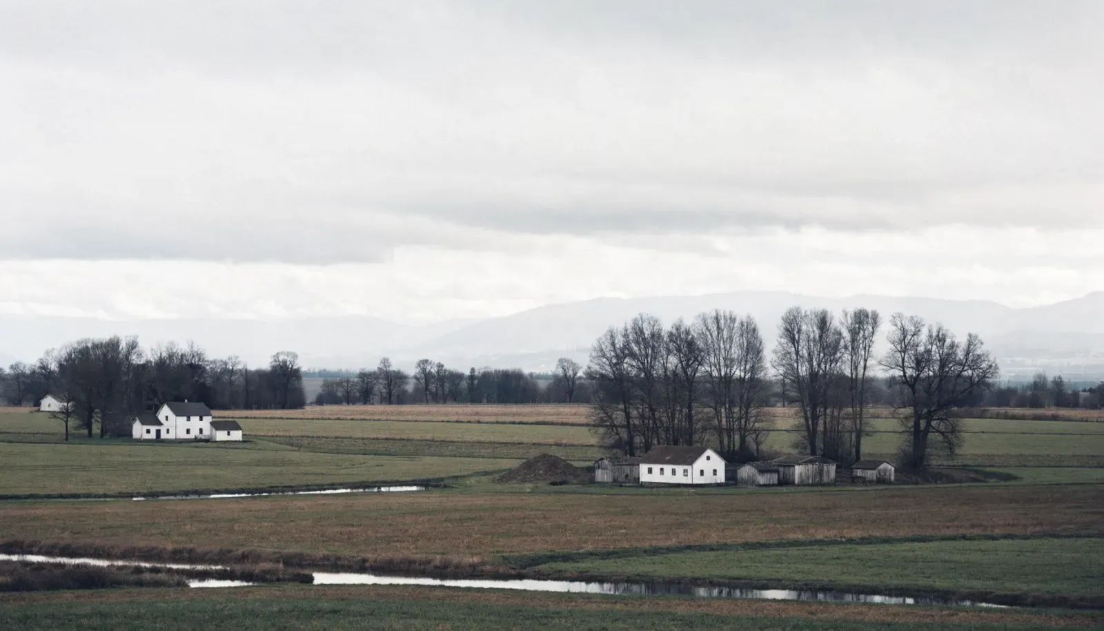Farmland and older farmhouses under low cloud in the Skagit Valley, Washington